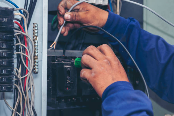 Best Electrical System Inspection  in Falfurrias, TX